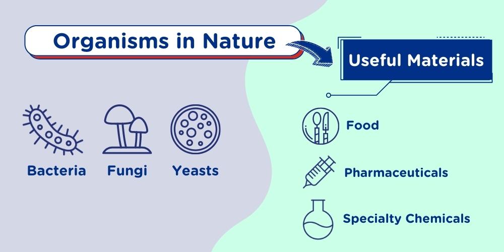 ASTAR_Innovating For Game-changing Green Technologies_Organism in Nature_1000x500 ASTAR_Innovating For Game-changing Green Technologies_Organism in Nature_1000x500