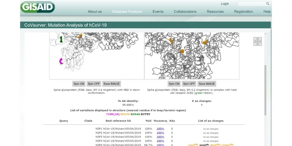 The Role of Bioinformatics During the Pandemic COVSURVER