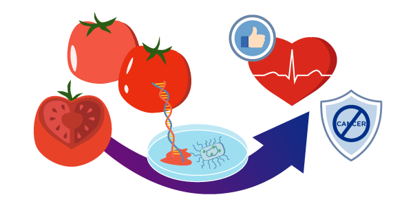 SG Food Story - Lycopene