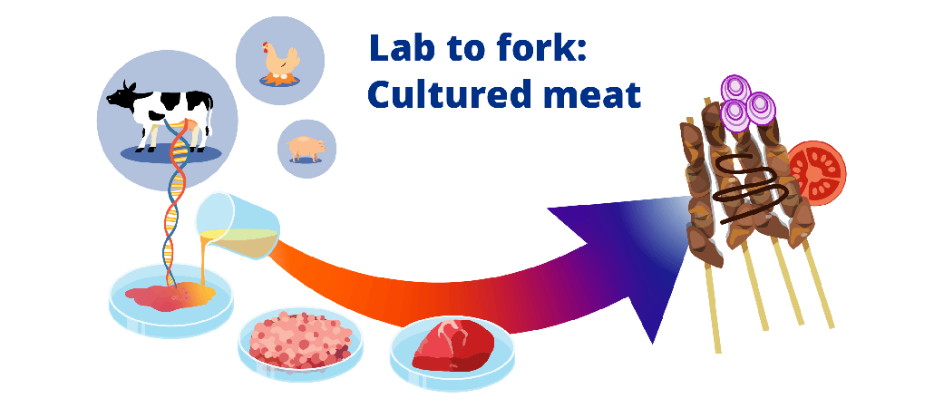 Strengthening food security with R&D