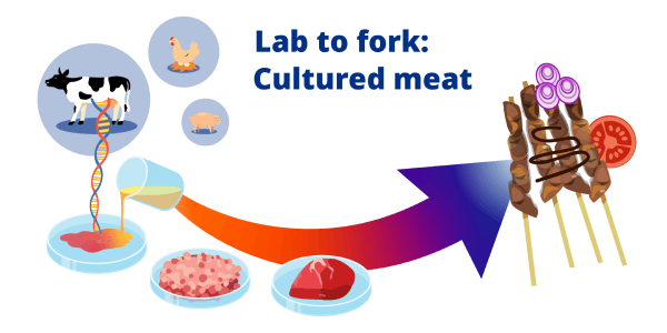 Strengthening food security with R&D