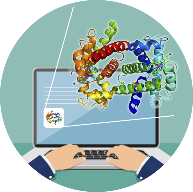 Allercatpro: 3D structure of epitopes and protein sequences