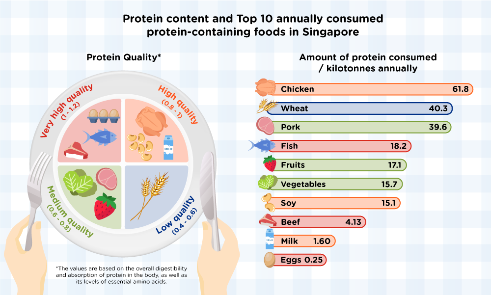 Protein content and top 10 annually consumed protein containing food in singapore