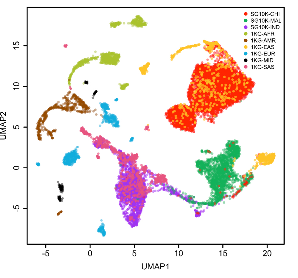 Two-dimensional projection of the Whole-Genome-Sequencing