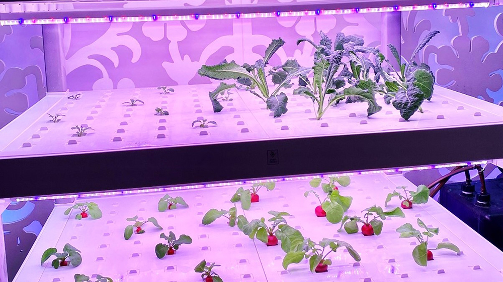 Vertical farming