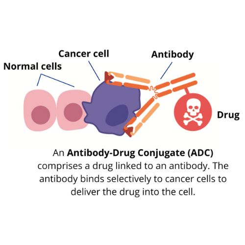 First Made-in-Singapore Antibody-Drug Conjugate (ADC) Approved to Enter Clinical Trials