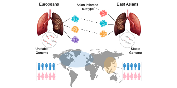 Breakthrough Study Reveals Gene Drivers Specific to Asian Lung Cancers 600x300