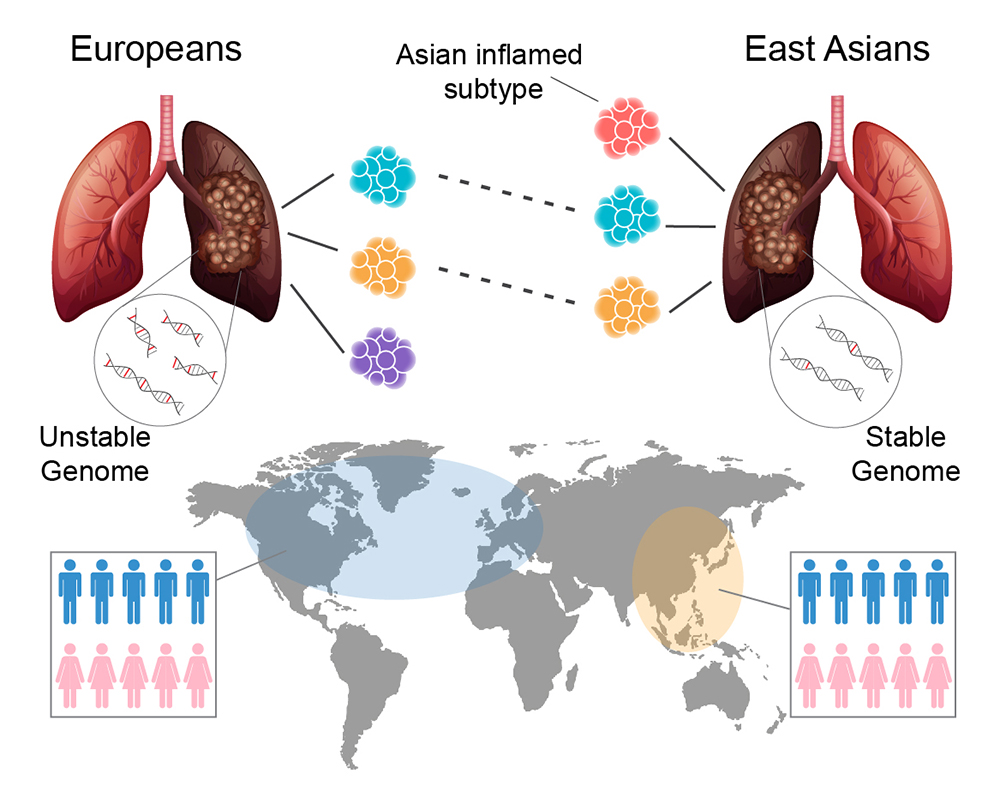 Breakthrough Study Reveals Gene Drivers Specific to Asian Lung Cancers Breakthrough Study Reveals Gene Drivers Specific to Asian Lung Cancers