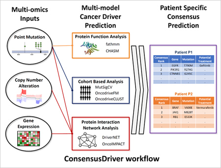 Workflow for the ConsensusDriver system in  analysing patient tumours and identifying target treatments.