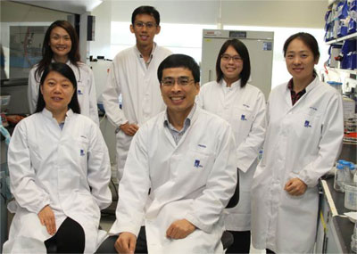 IBN Research Team
