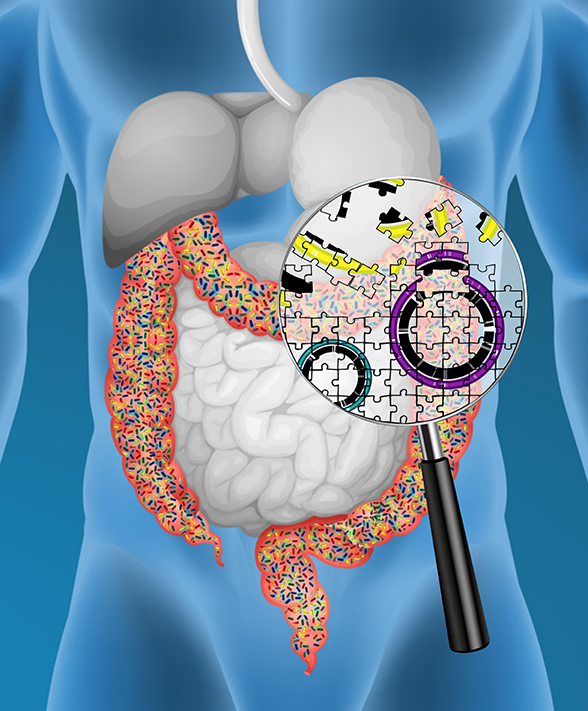 GIS Genome Reconstruction of the gut bacteria