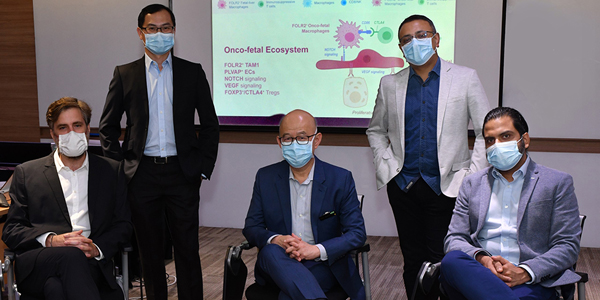 Singapore Scientists Discover Human Liver Cancer Cells Masquerading as Fetal-Like Cells