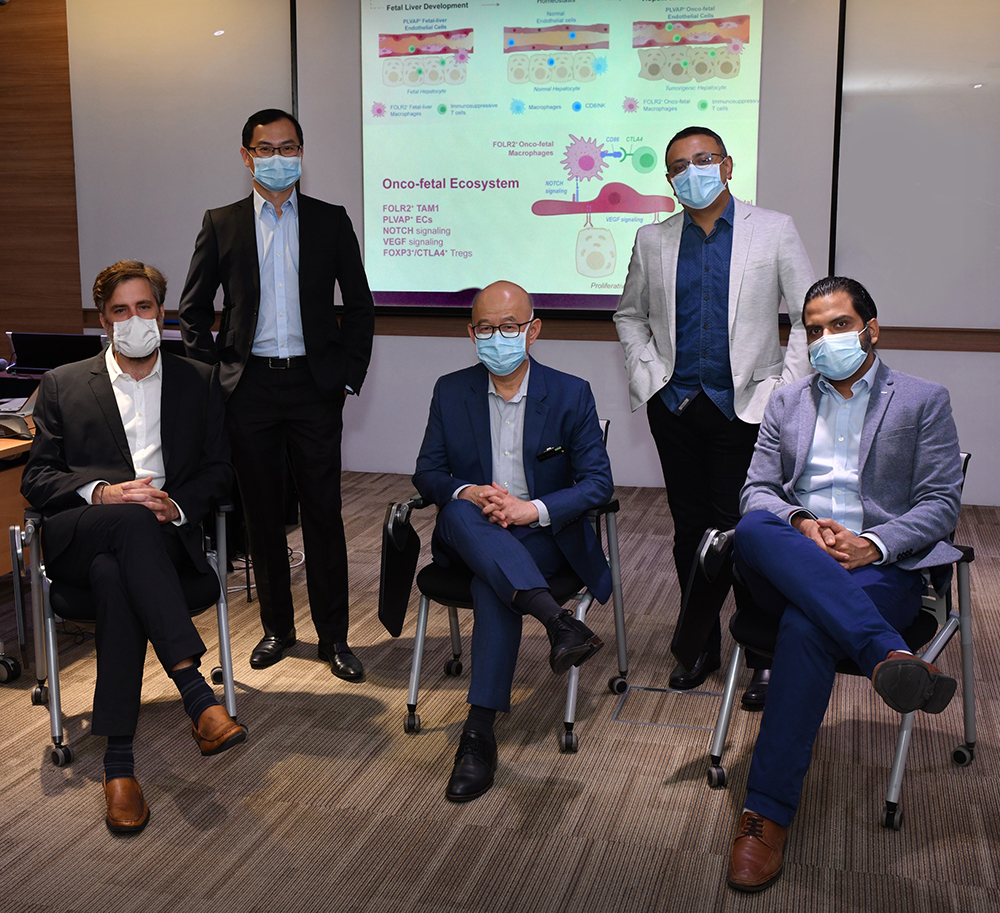 FRA_7860R v1 Singapore Scientists Discover Human Liver Cancer Cells Masquerading as Fetal-Like Cells