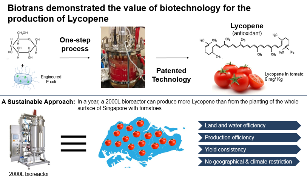 Biotrans - Production of Lycopene