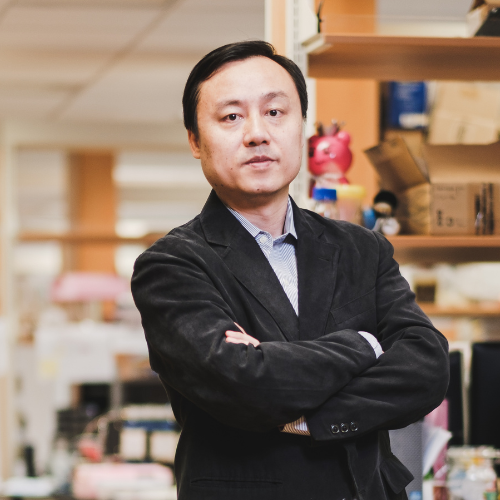 Prof Liu Xiaogang - Copy