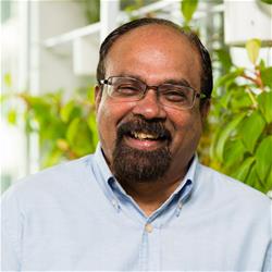 Professor Jeyakumar Henry 500x500