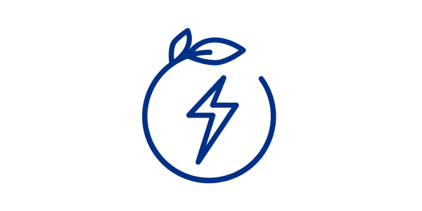 Transformative Energy Solutions
