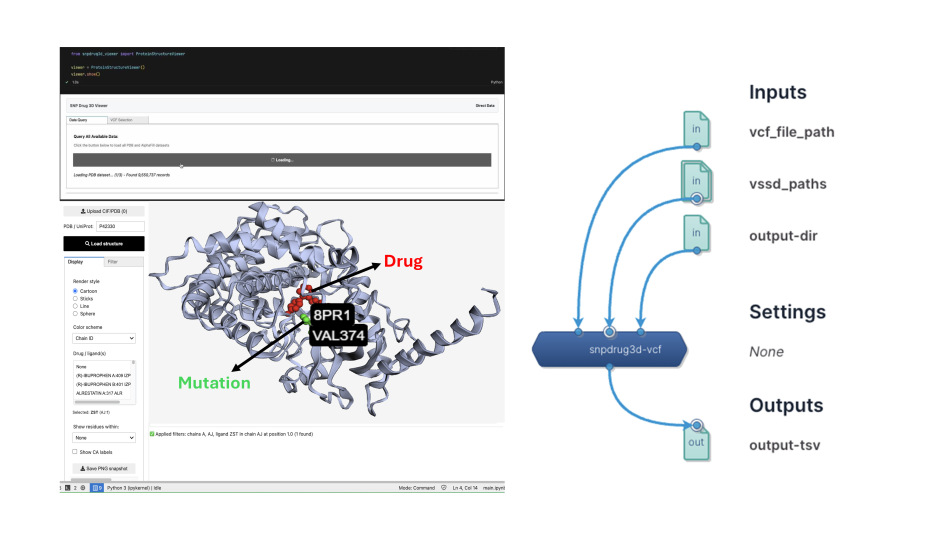 04 SNP Drug 3D