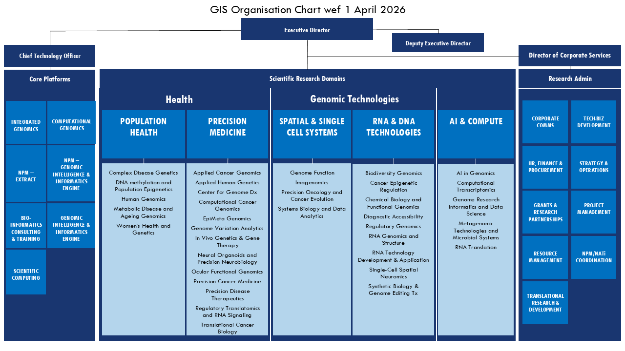 GIS Org Chart wef 1 Apr 2026_without names_For GIS Website