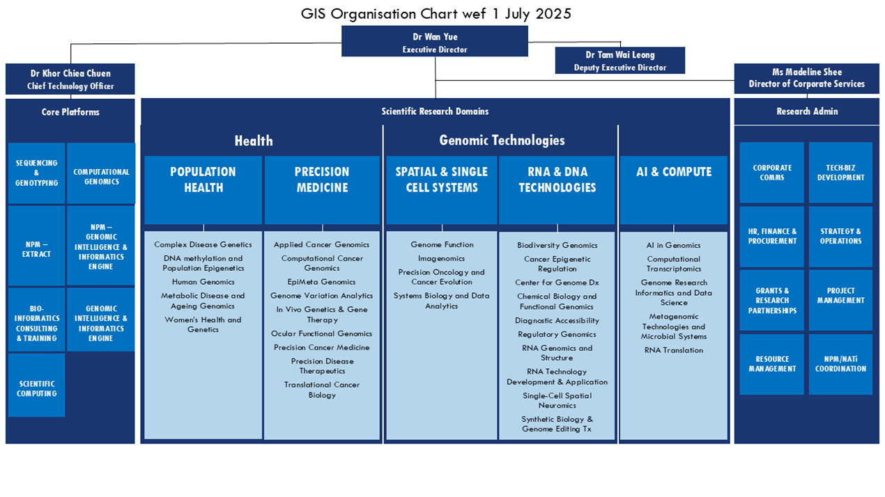 GIS Org Chart wef 1 July 2025_For Corp Comm GIS Org Chart wef 1 July 2025_For Corp Comm