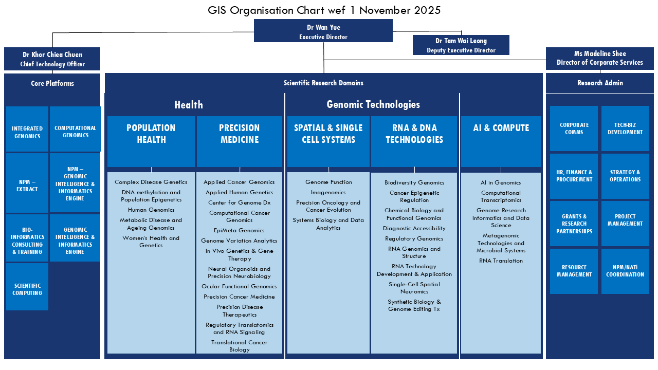 GIS Org Chart wef 1 Nov 2025_For Corp Comm