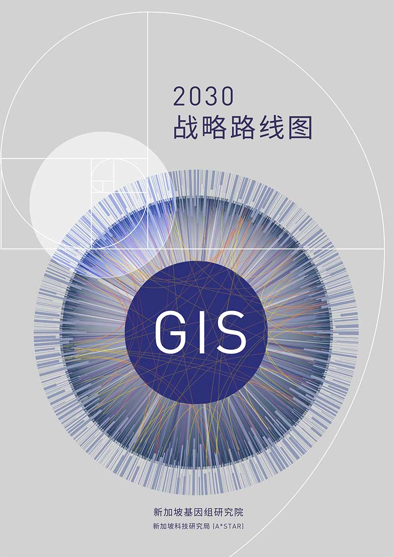 GIS Strategic Plan 2030 Chinese