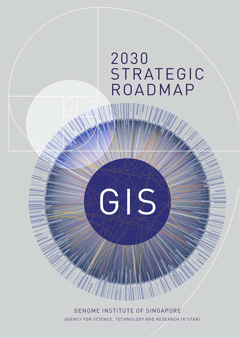 gisroadmap_2021