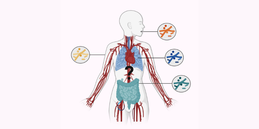 No microbiome (PR)