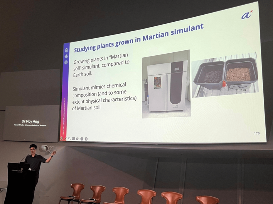 Picture5 (compressed)