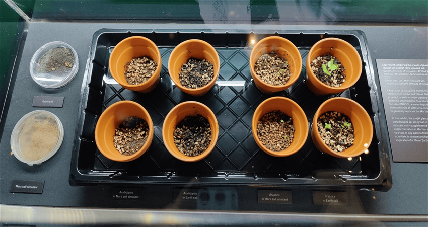 Picture6 (compressed)