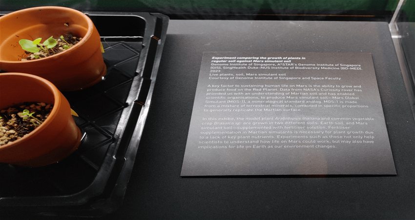 Picture8 (compressed)