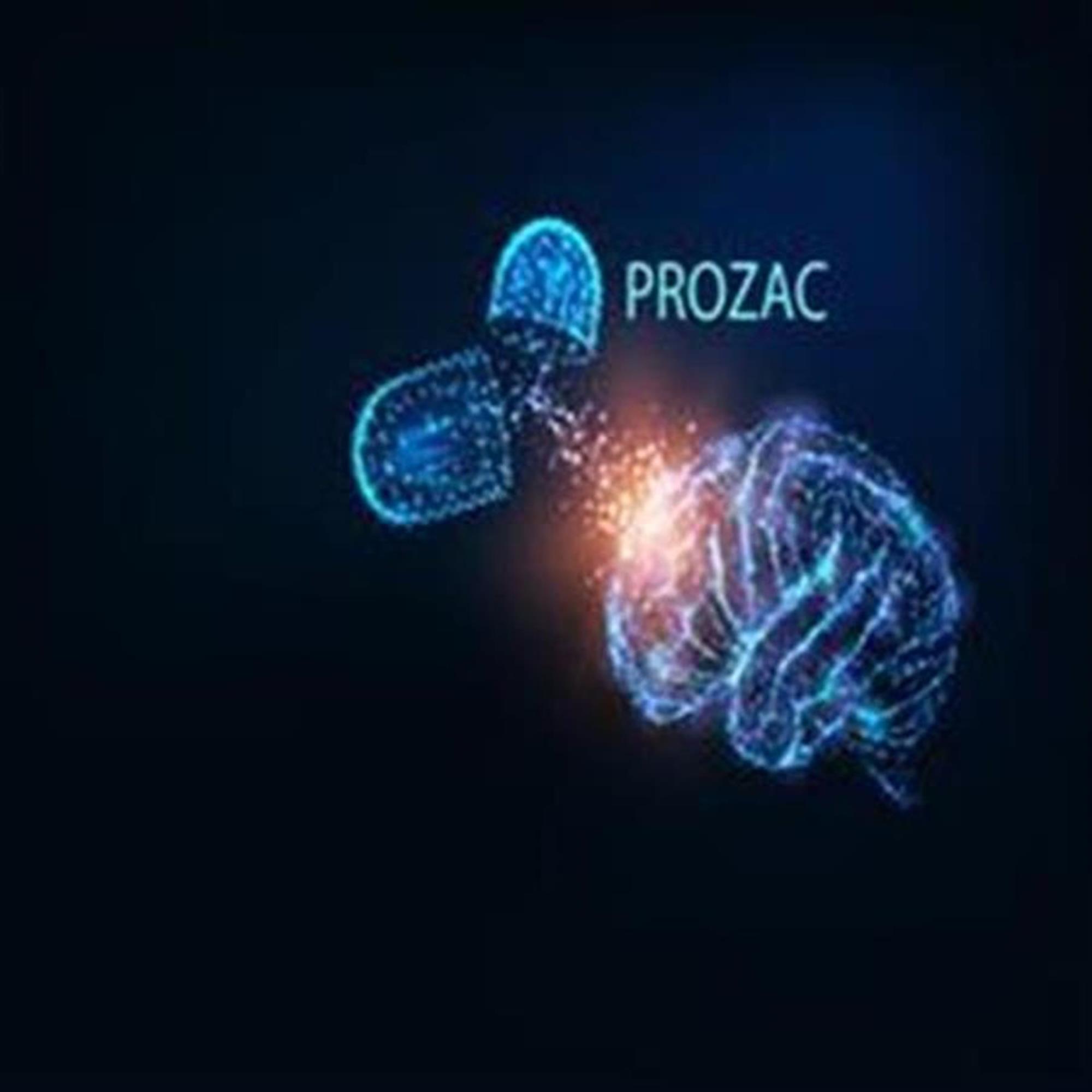 The brain on happy pills: how Prozac changes different brain areas
