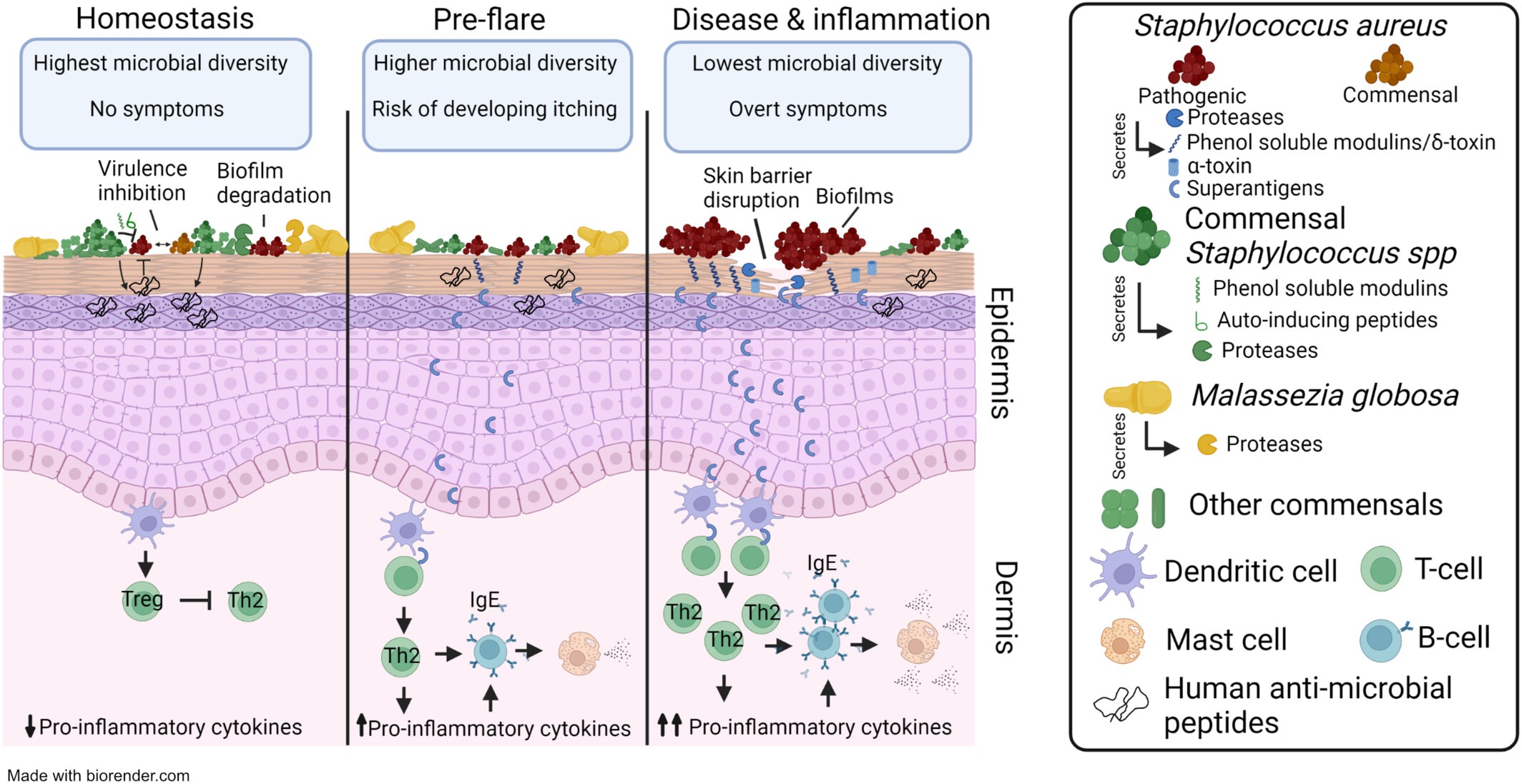skin_microbiome-eczema
