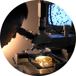 infectious_diseases_page_photo
