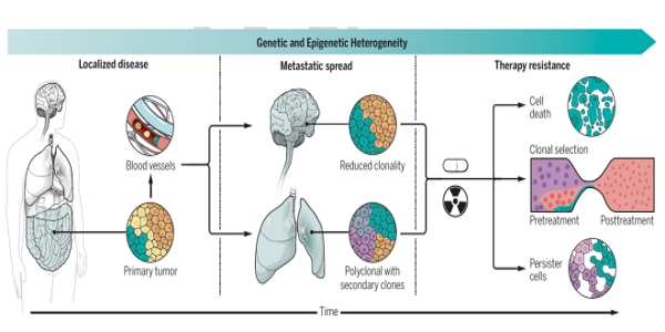epigenomic evolution - thumbnail
