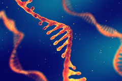 thumb_nanoporerna