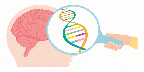 schizophrenia---gene-analysis-of-brain - thumbnail