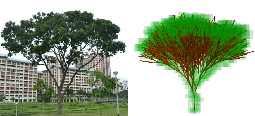 3D Tree Model