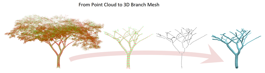 3D Tree Model_3D Branch Mesh