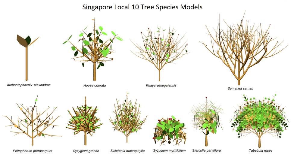 3D Tree Model_Tree Species Model