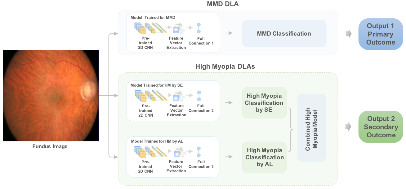 Architecture of AI model for MMD and high myopia