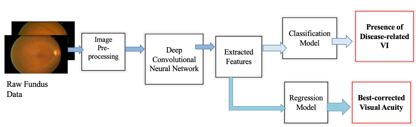 Architecture of AI model for visual impairment