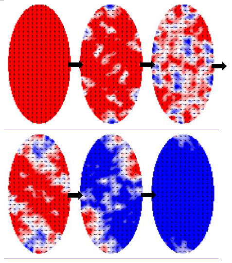 Field-free Spin-Orbit-Torques