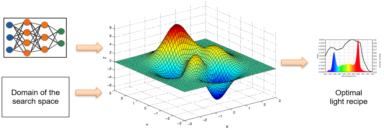 biomass prediction and optimisation of light recipe