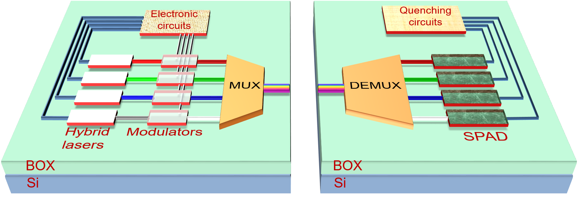 Quantum photonic integrated circuit
