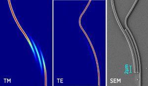 Scanning electron micrograph