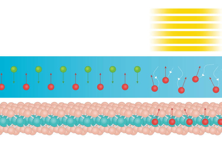 Shot in the Arm for Spintronics_Cover