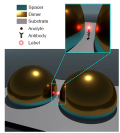 strong coupling of quantum plasmonic strong coupling of quantum plasmonic