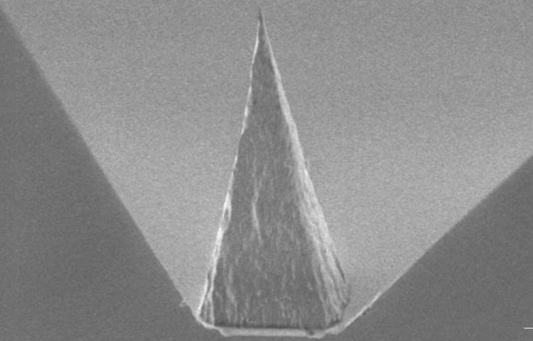 Tip for Nanoscale Sensing