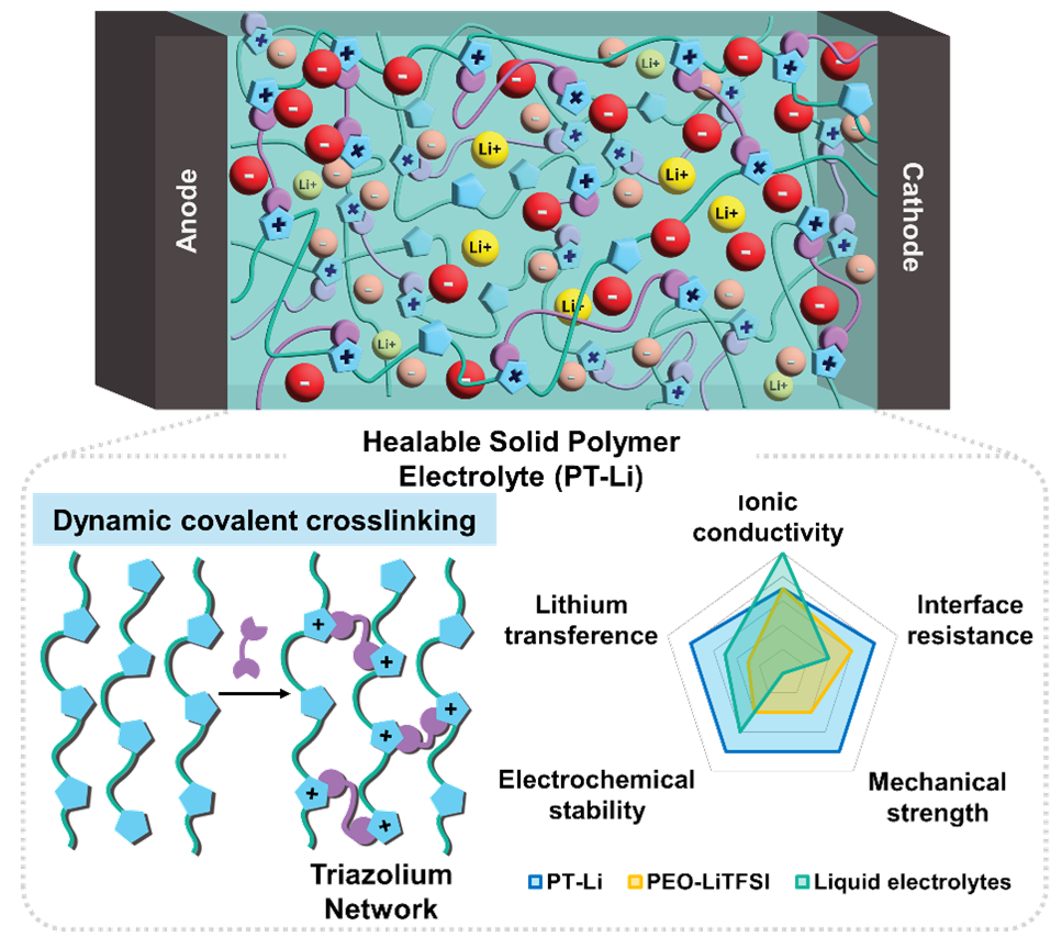 Healable Solid Polymer Electrolytes